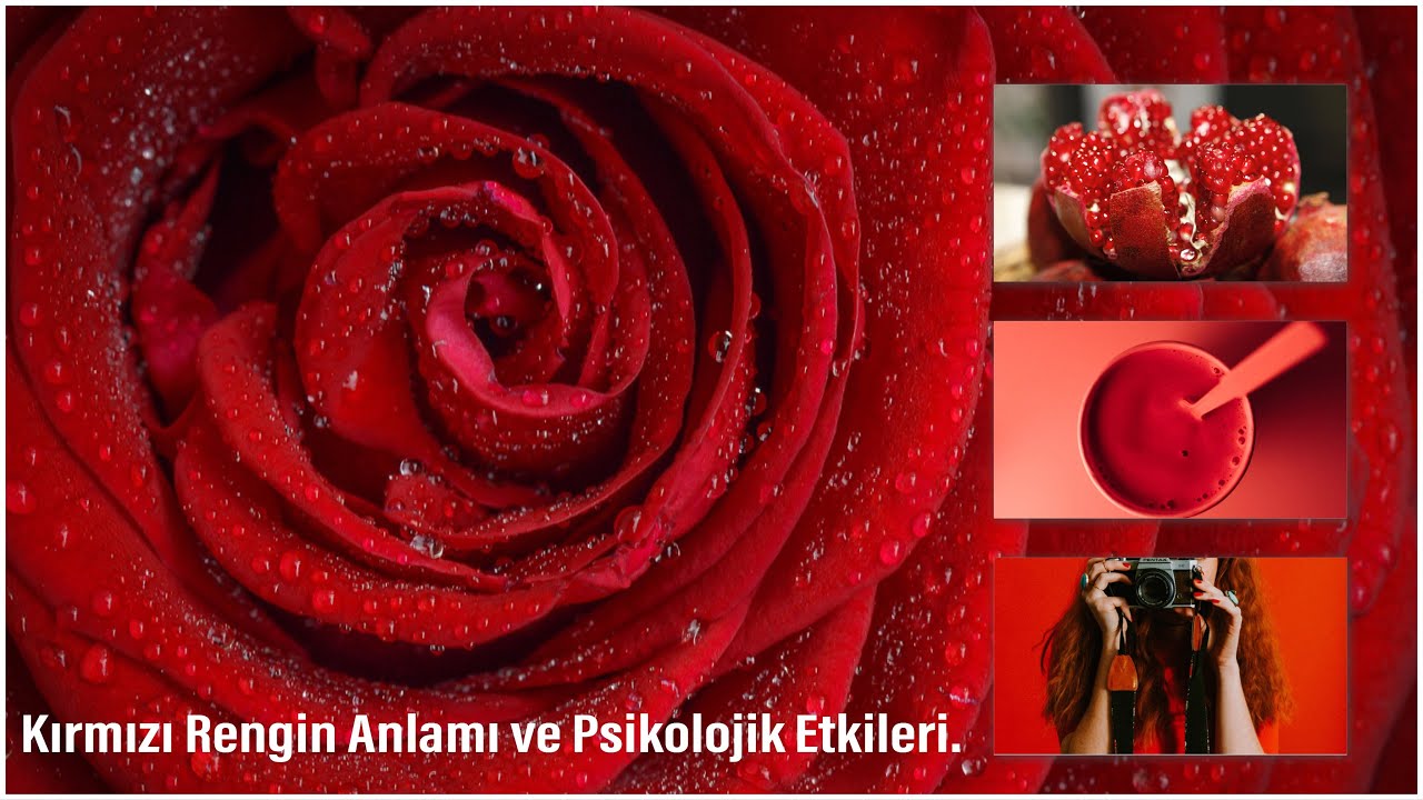 Renkler Satinalma Icgudulerimizi Nasil Tetikliyor Iste 8 Guclu Renk Ve Alisverisimize Etkileri Onedio Com