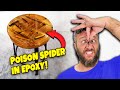 EPOXY Bar Stool with POISON SPIDER!