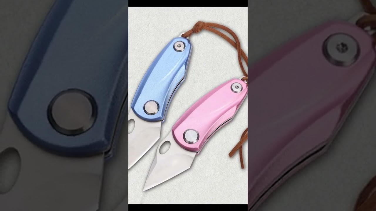 D2 Mini Folding Knife