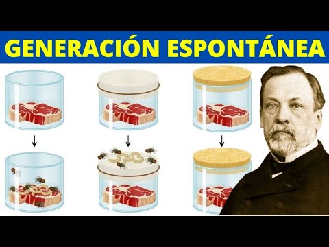 ¿Qué es la teoría de la GENERACIÓN ESPONTÁNEA? Autores y experimentos👨‍🔬🔬