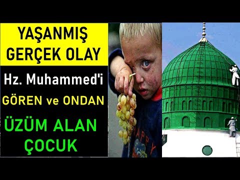 Yeşil Kubbeye Temizlik için girip Peygamberimizi Gören ve Ondan Üzüm alan Çocuk