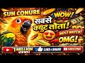 OMG! Ye 2 Sun Conure Dil Chura Lenge 😍 🔥 😍 #sunconure #parrot #youtube #shorts #ytshorts 