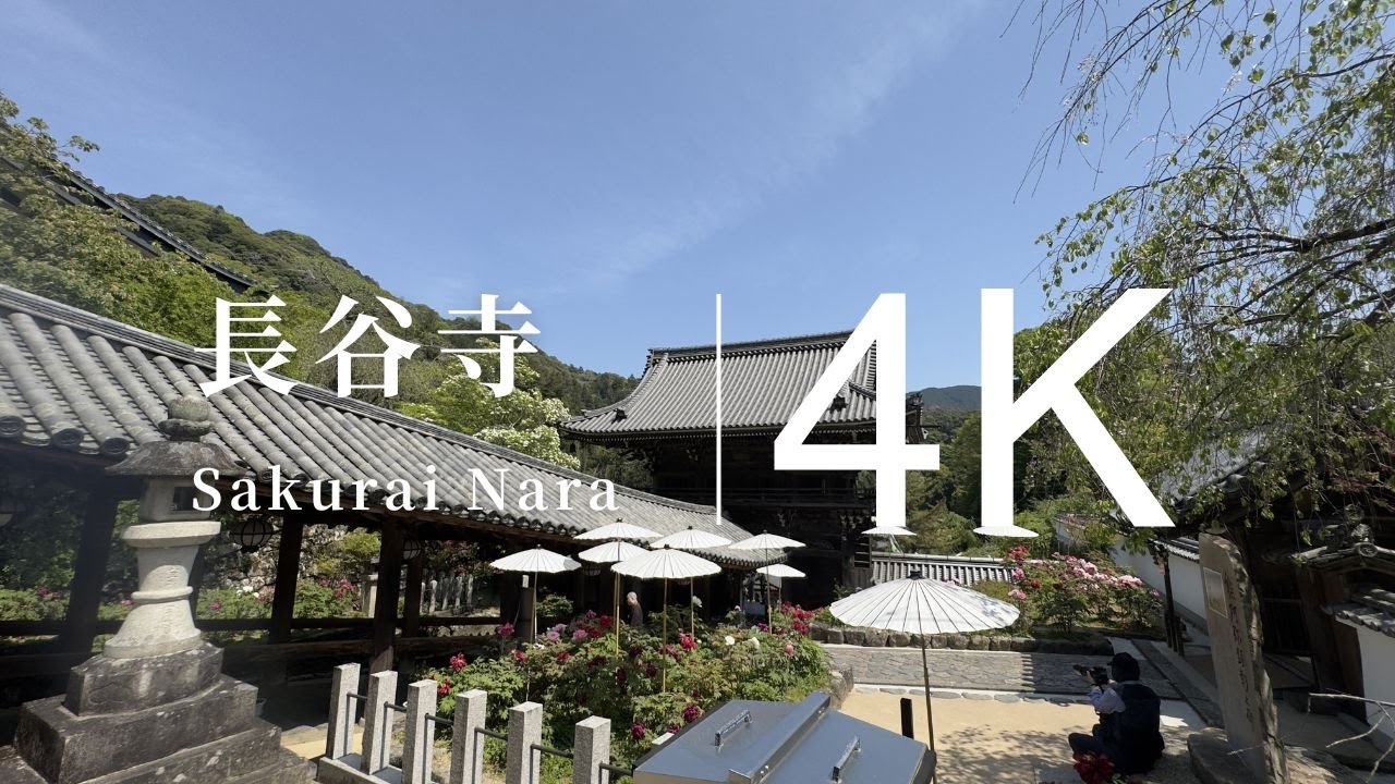 4K Walking at Hasedera Temple | Peaceful Footsteps Only | Zen Japan Ambience 