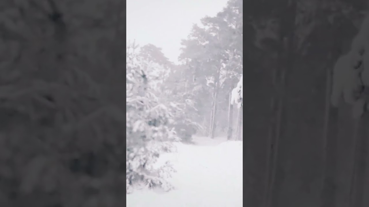 Winter Nature Sounds with Snowstorm and Howling Wind