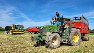 Ensilage d’herbe 2024 ( conditions difficiles) + bourrage de l'ensileuse 😬