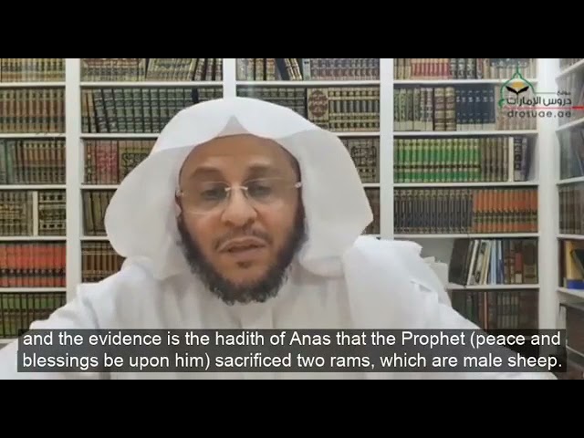 أيهما أفضل التضحية بالذكر أم بالأنثى؟ | الشيخ د. عزيز فرحان