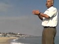 رئيف رشاد السيد 