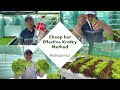 Hydroponics/Kratky Method Using Soda Bottle (with english subtitle) | Nars Adriano