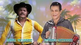 ALFREDO GUTIERREZ VS ANIBAL VELASQUEZ EXITOS  MIX CUMBIAS COLOMBIANAS PARA BAILAR