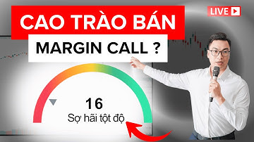 CAO TRÀO BÁN - MARGIN CALL| Tú Lê