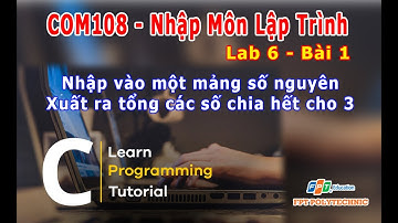 #COM108. Lab 6 Bài 1. Nhập Vào Một Mảng Các Số Nguyên. Xuất Ra Tổng Các Số Chia Hết Cho 3