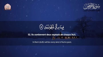 سورة الرحمن تلاوة لكل من أحزنت الدنيا قلبه   املأ قلبك طمأنينة وراحة ❄️💙 القارئ : ﻣﻨﺼﻮﺭ ﻣﺤﻲ ﺍﻟﺪﻳﻦ