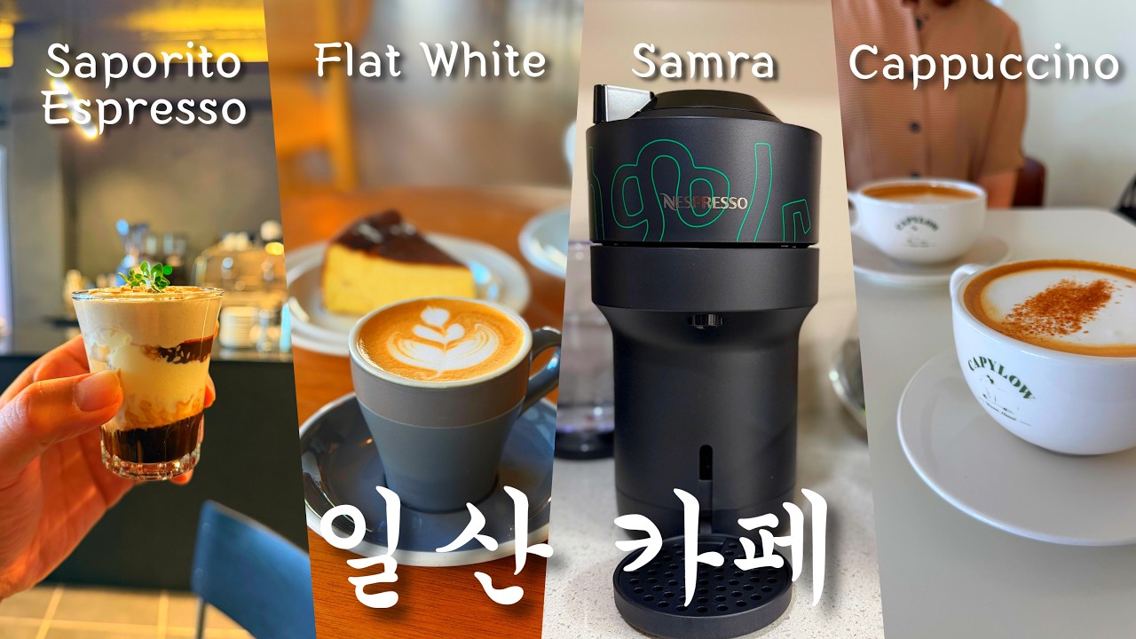 일산 밤리단길 카페 도장깨기 中 나의 Top3 ㅇㅈ?