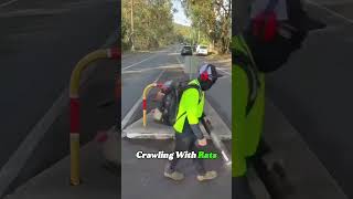 This Trash House Made Me Over 400,000