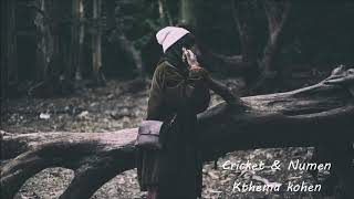 Cricket & Numen -  Kthema Kohen (Kevin Shkembi Instrumental)