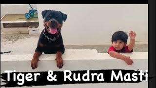 Tiger & Rudra Masti Time (Rottwiler masti with kids)