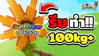 🤯ทำผลใหญ่ 123.69KG!? 100% | Grow a Garden 2 Roblox