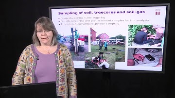 12331 Field Investigations of Contaminated Sites