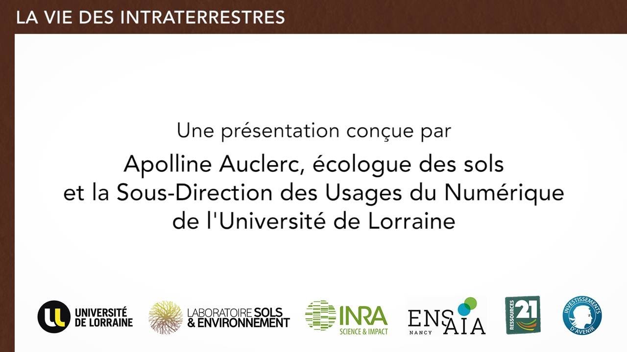 Apolline Auclerc "La vie des intraterrestres" YouTube