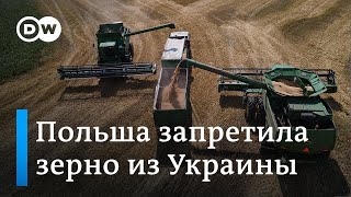 Почему Венгрия и Польша запретили ввоз зерна из Украины