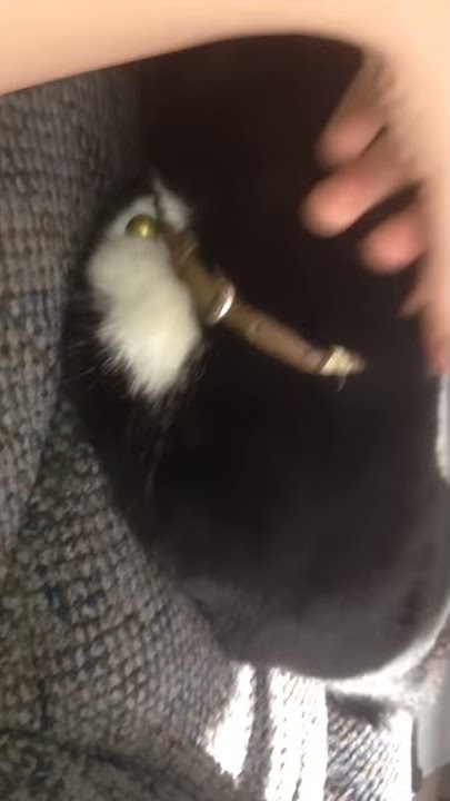 I rub luscious black pussy 2 hot 4 tv (not clickbait)