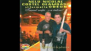 Odeon - Nelu Nicolae - Tu ești pentru mine