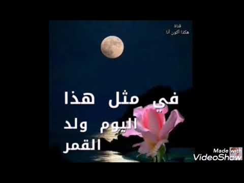 كل سنه وانتي طيبه يا قلبي كل سنه وانتي صحبتي وحبيبتي معلش بقا ملقتش اغنيه مناسبه والله