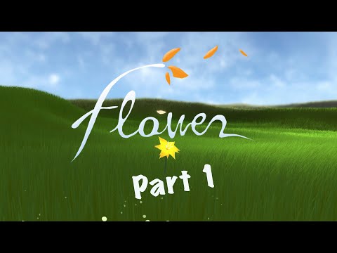 Video: Chalice Flower