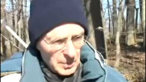 Fixed vs Variable Annuities