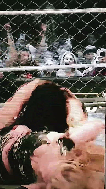 Fabulous Victory by Team Rhea #wwesurvivorserieswargames