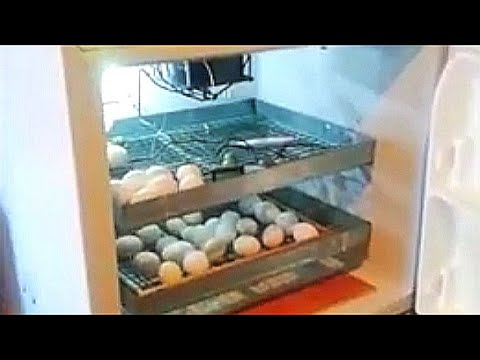 Vídeo: Què són els motlles de poliuretà per a pedra artificial. Motlles de poliuretà de bricolatge