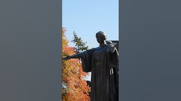 Different year, same season. 🍁 #illini #illinois #fall