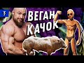 ВЕГАН КАЧОК. НАБРАТЬ МАССУ БЕЗ МЯСА. ТРАНСФОРМАЦИЯ.