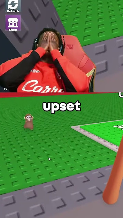 What Happened to Speed's Ying Yang Meowl??