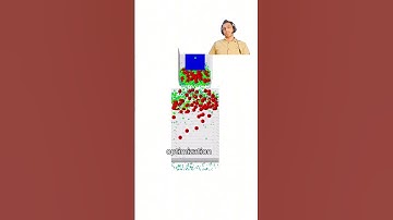 Yousef Jafaraghaei simulated particle behavior in a double-deck roller screen.