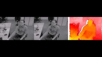 WDR Stereo Pair Demo Kit for 3D depth extraction by NIT