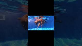 Hey, Lets Have A Great Weekend