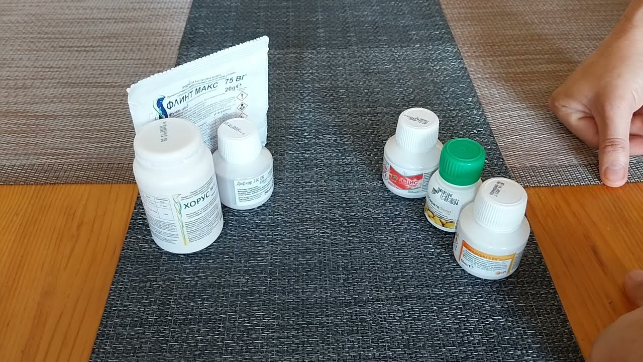 Пръскания при чести валежи - с какво и защо