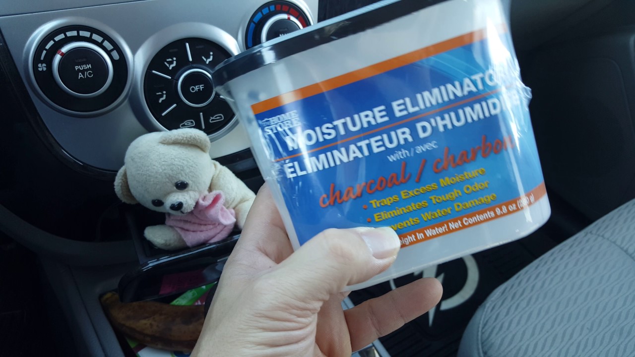 Moisture eliminator from the dollar store YouTube
