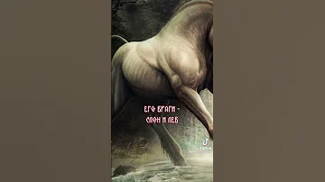 единорог 