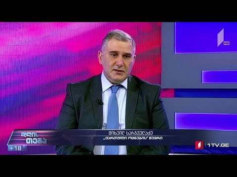 პროტესტი „ნამახვანჰესის“ წინააღმდეგ - „დღის თემის“ შეკითხვებს მიხეილ სარჯველაძემ უპასუხა