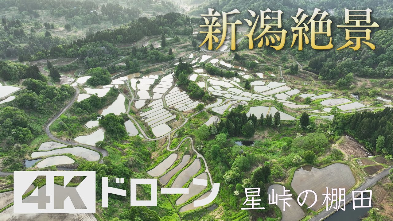 そらなび」星峠の棚田（十日町市） 2025年5月31日放送回 - YouTube