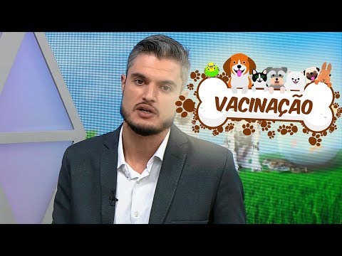 Tipos de vacinas para cães e gatos