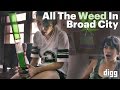 All the weed in broad city weed city