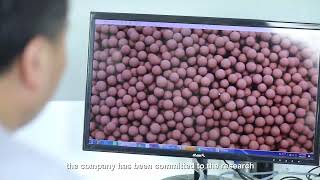 Molecular sieve activated powder palladium catalyst deoxidizer manufacturer Dalian Haixin Chemical