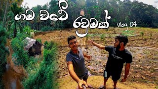 The wonder of the village 2 | ගම වටේ රව්මක් | Gamkarayo vlog 04