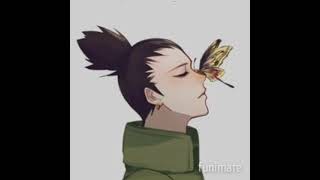 Download Lagu Bum,bum,bumbe///✨ Shikamaru Nara ✨😍 MP3