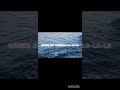 Gabriela Lyrics Editv Trend Aestheic Katseye Gabriela Lyrics 