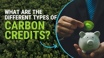 What are the Different Types of Carbon Credits?