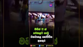 වනවාසල කෝච්චිය අනතුර